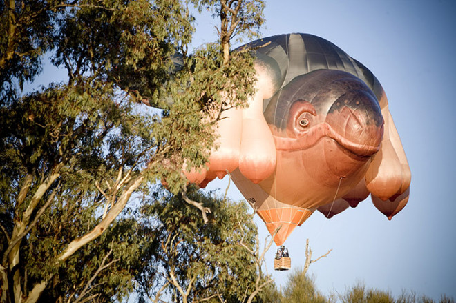 'Skywhale' Hotair Balloon Sculpture