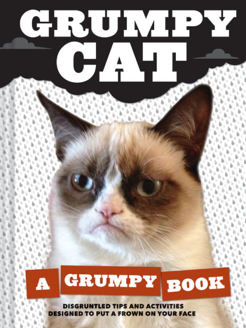 grumpycatbook
