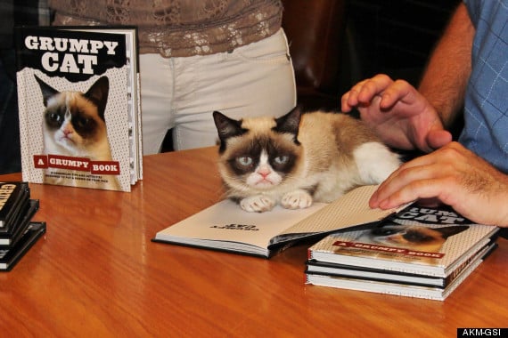 Grumpy Cat does not look impressed at her book signing