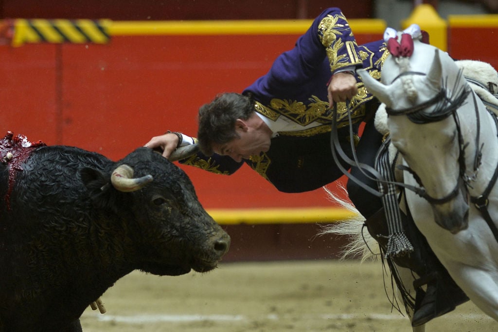 Junk Explained: What Is Bullfighting, And Why Is It Still Around?