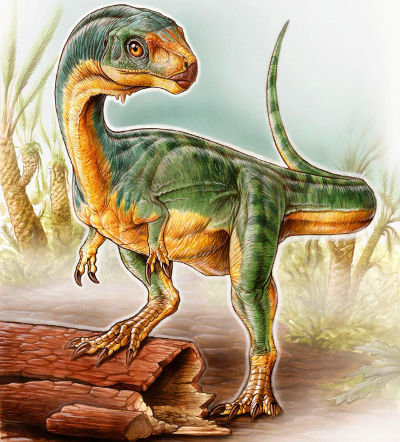 image_2739_1e-Chilesaurus-diegosuarezi