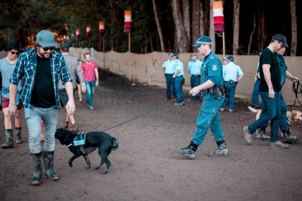 Sniffer dogs procedure strip search