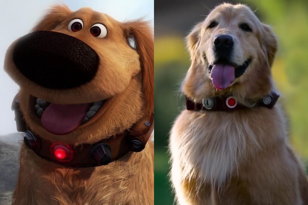 tand afslappet Gladys Oh My God, Dug The Talking Dog From Disney Pixar's 'Up' Is Real