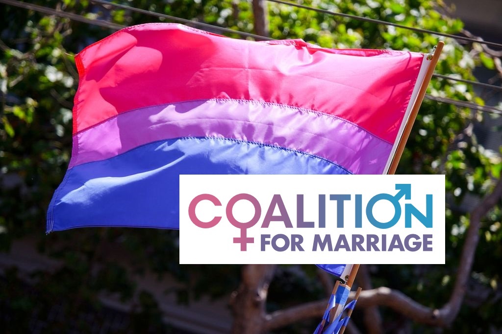 Bi Pride Flag Marriage Equality