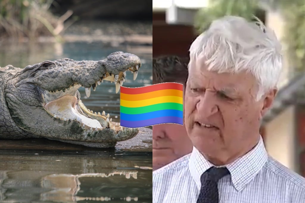 Bob Katter Crocodiles