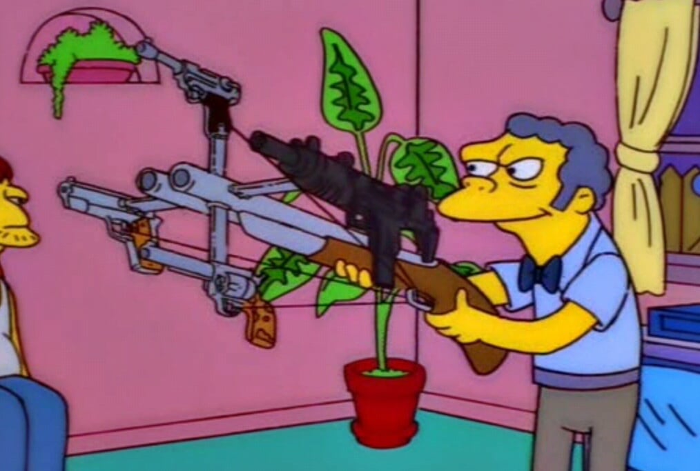Moe Gun Laws