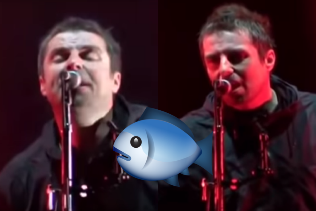 Liam Gallagher Dead Fish