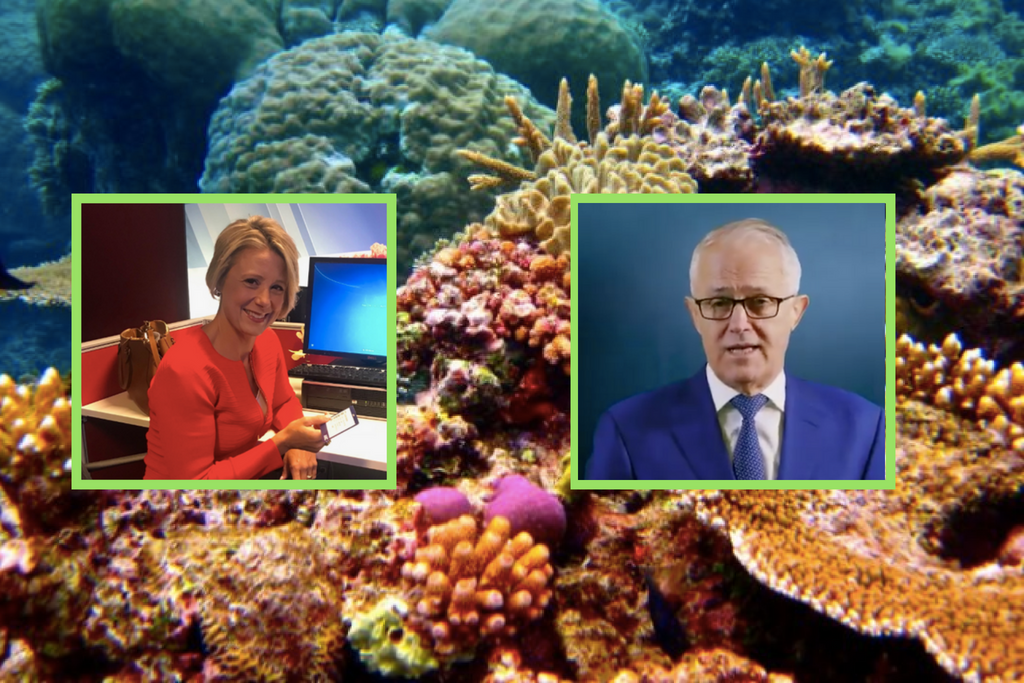 Kristina Keneally Great Barrier Reef Foundation