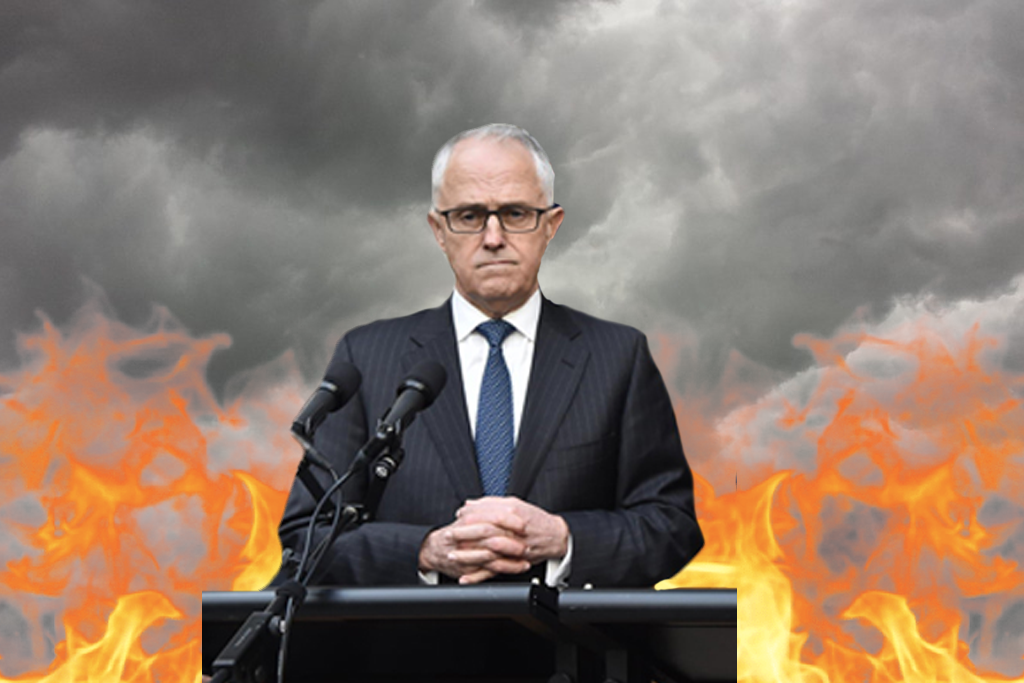 malcolm turnbull press conference libspill