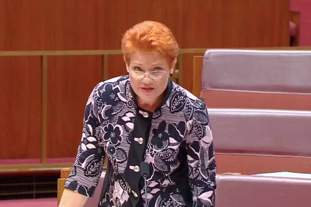 Pauline Hanson in the Senate moving a motion that it's "okay to be white".