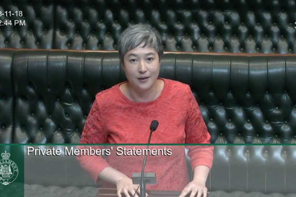 Jenny Leong used parliamentary privilege to call on Jeremy Buckingham to resign.