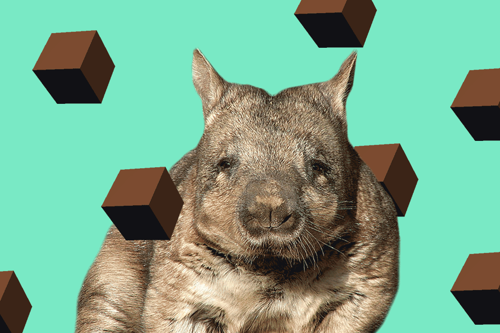 We finally know why wombats poo cubes.