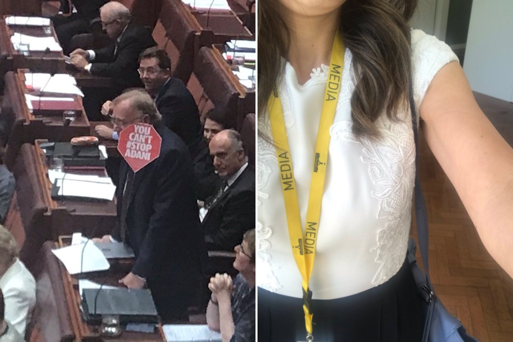 Ian MacDonald's Adani earing vs. Patricia Karvelas shoulders in Parliament