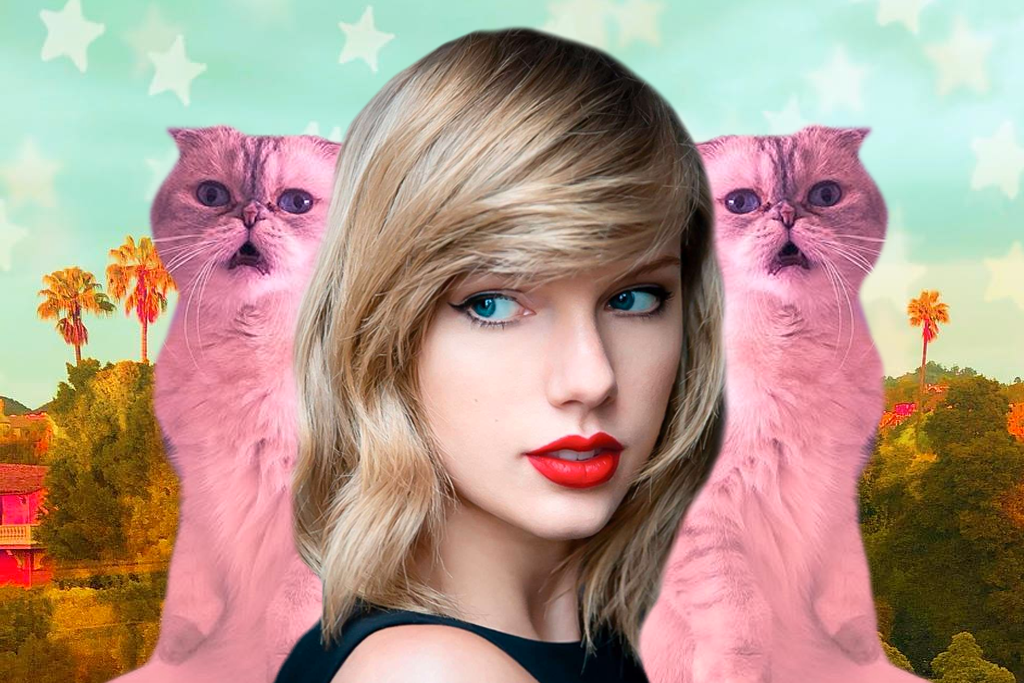 Taylor Swift theories photo cats