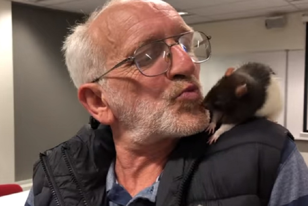 Lucy the rat was reunited with her owner Chris after going missing