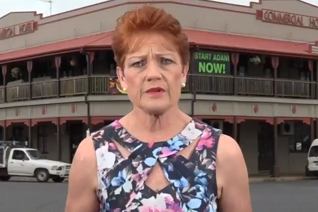 Pauline Hanson discusses climate change