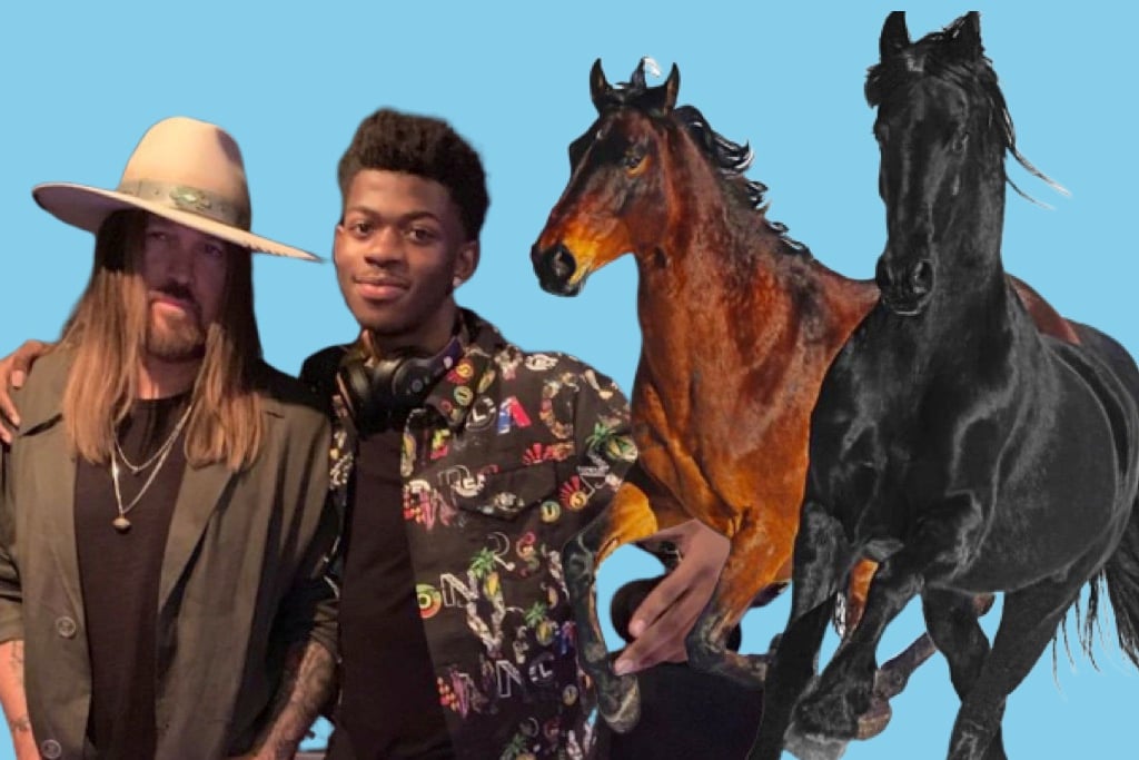 Lil Nas X's 'Old Town Road' has broken one of Drake's streaming records