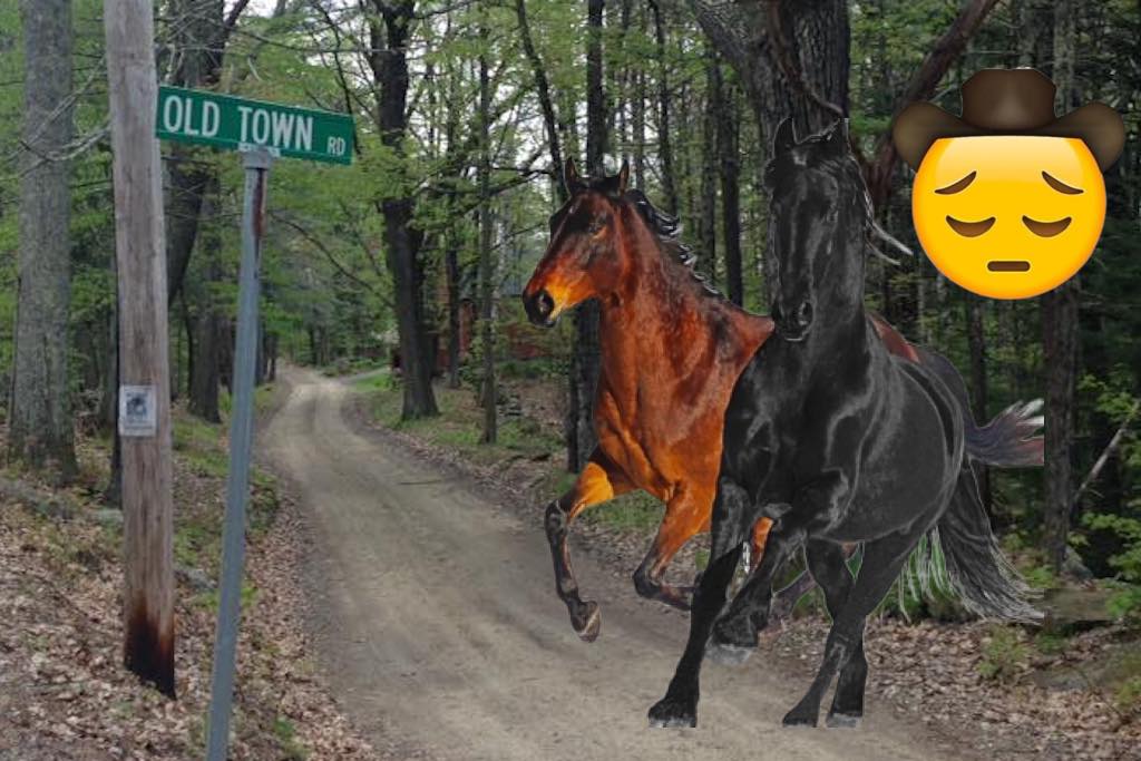 US Police ask Lil Nas X fans to stop going down 'Old Town Road'