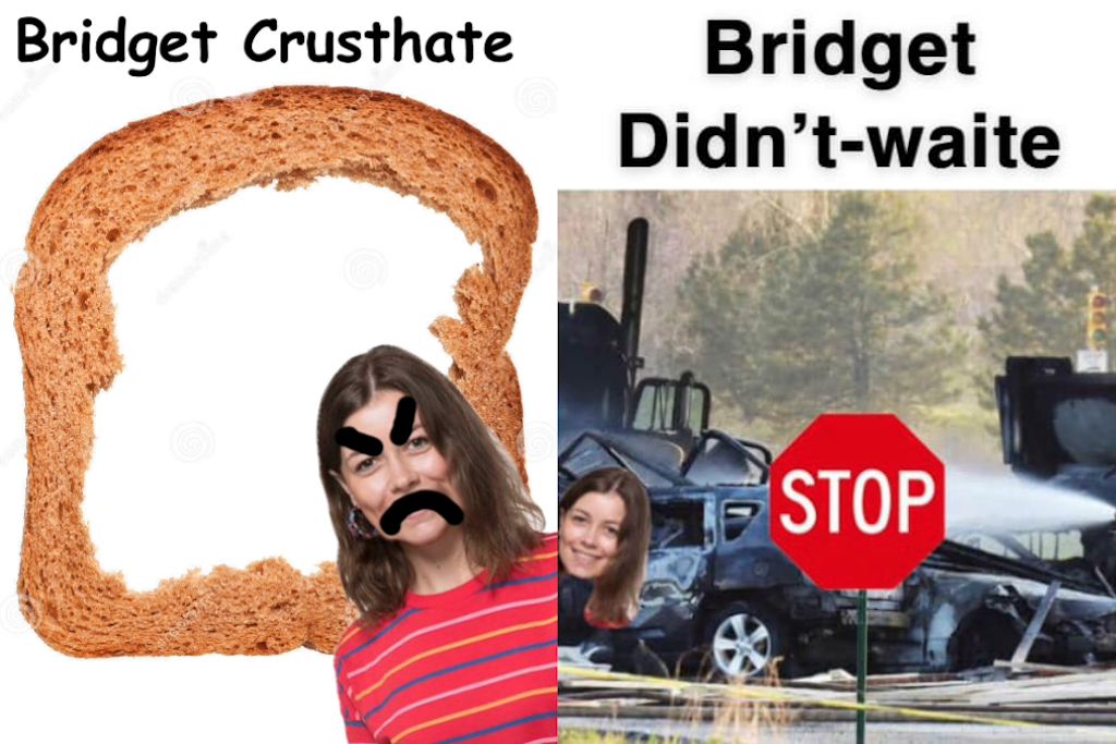 Bridget Hustwaite meme
