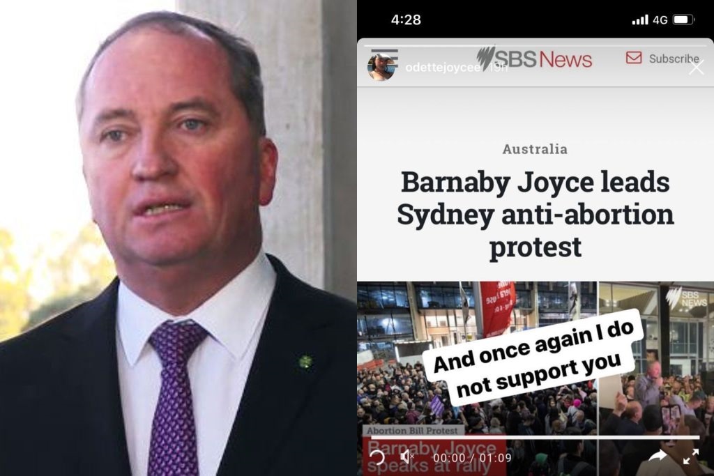 Odette Joyce slams Barnaby Joyce