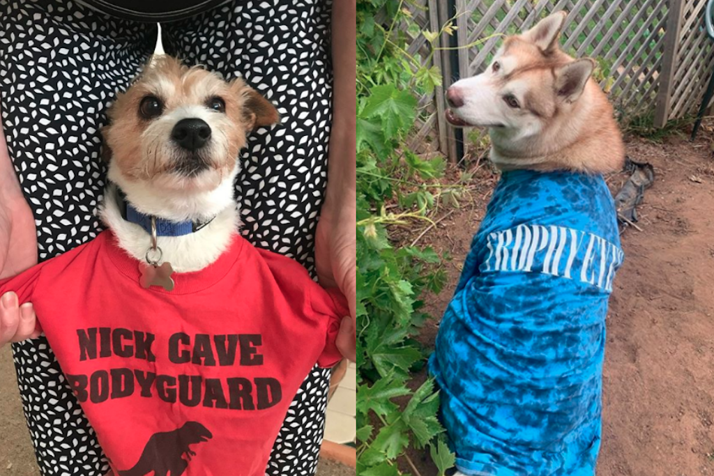 Ausmusic t shirt day dogs triple j photo