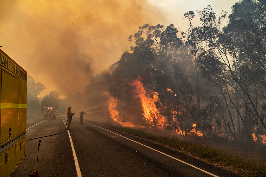 Australian bushfires, climate denial, nsw fires