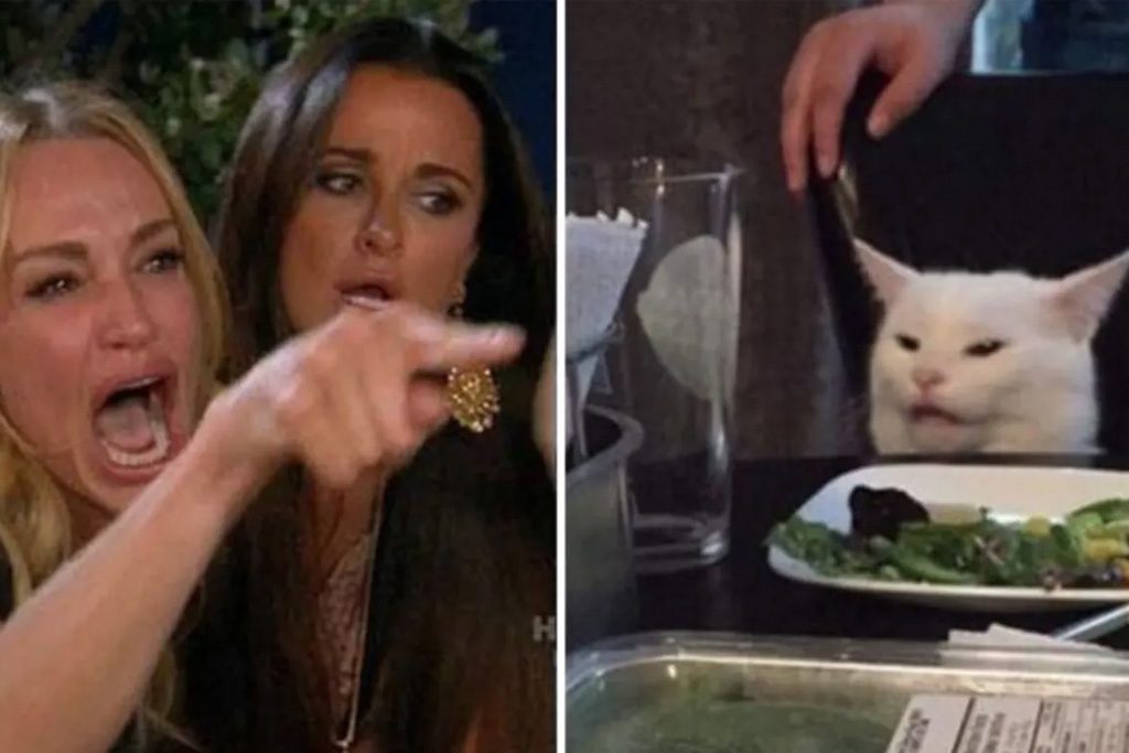 Woman vs cat, woman yelling at cat meme