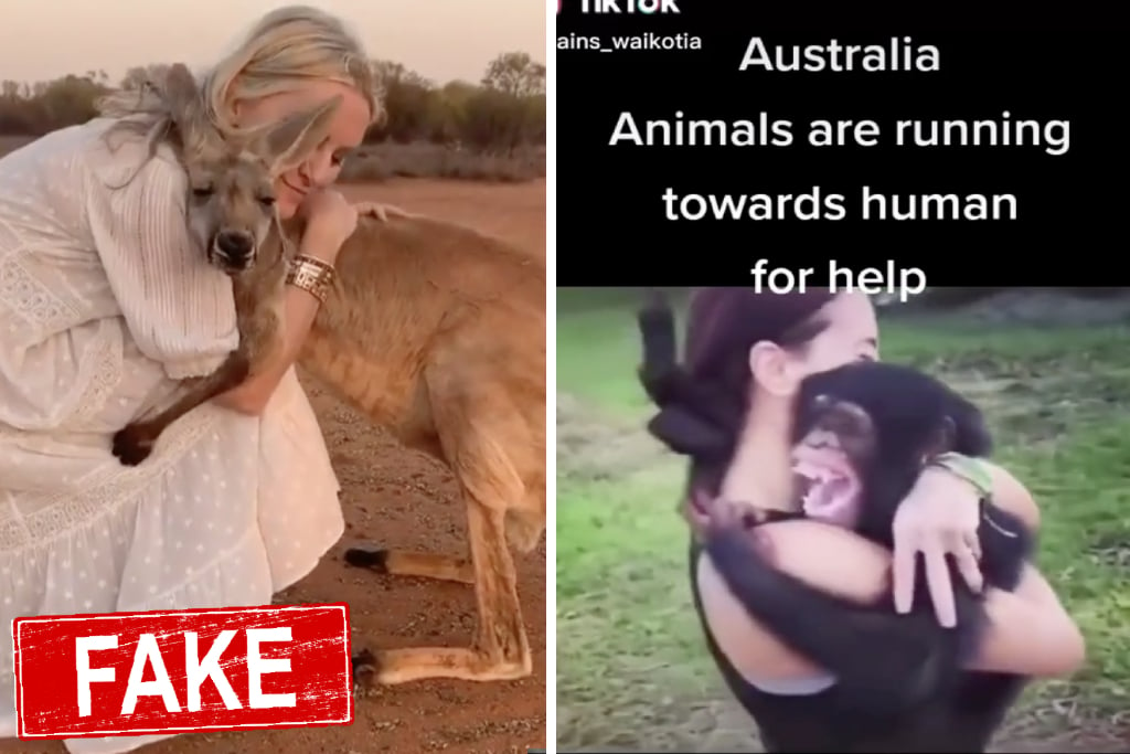 Fake Australian Animal Bushfire Photo