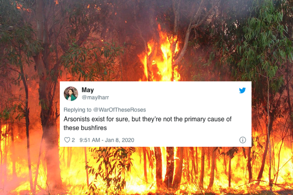 Bushfire arson