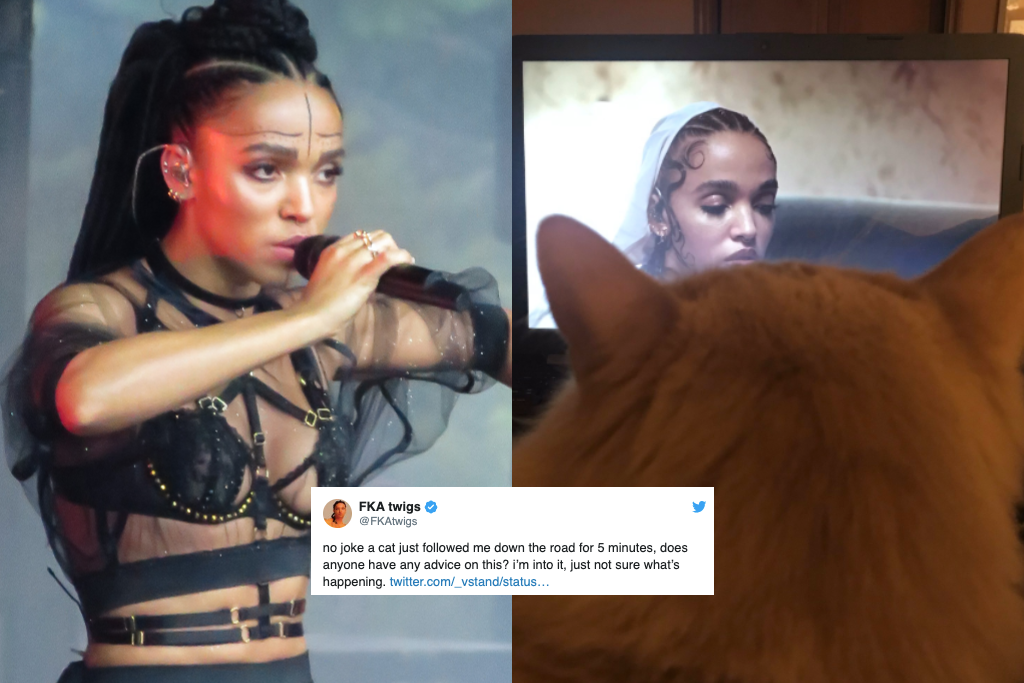 FKA Twigs and cats