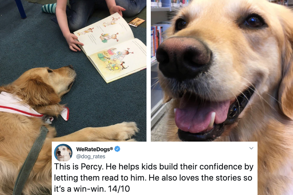 library dog helps kids read