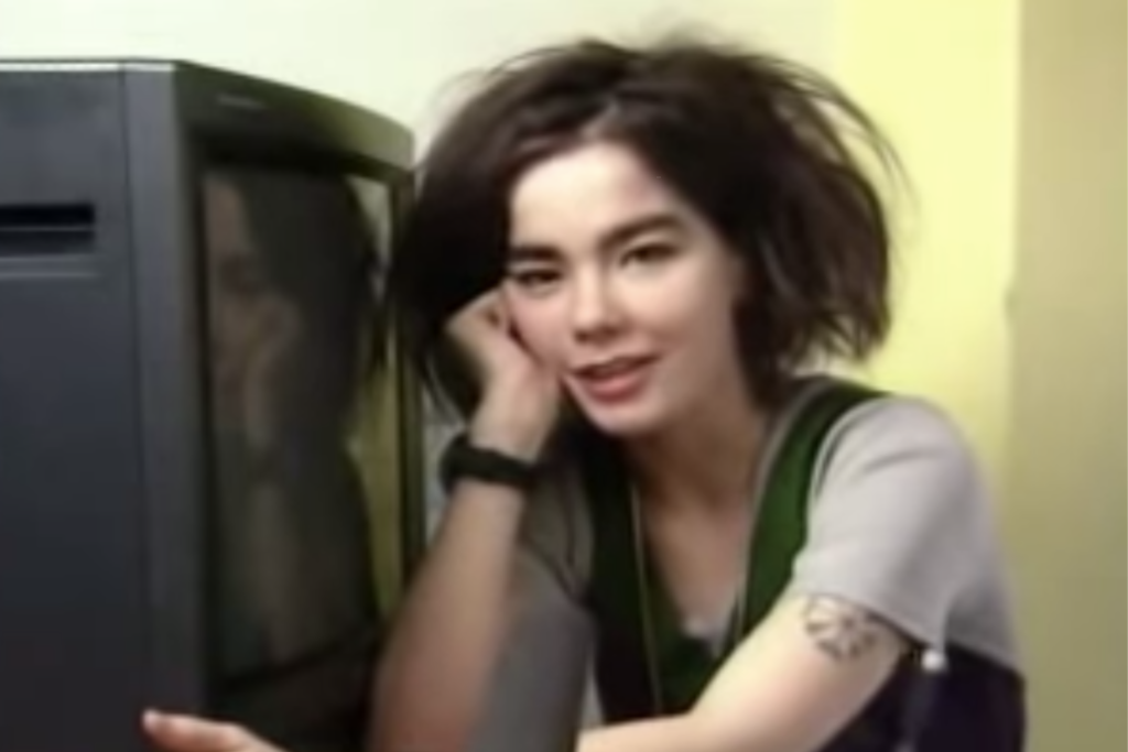 Bjork with a television