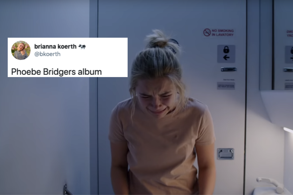 Phoebe Bridgers All The Best Punisher And Depression Memes