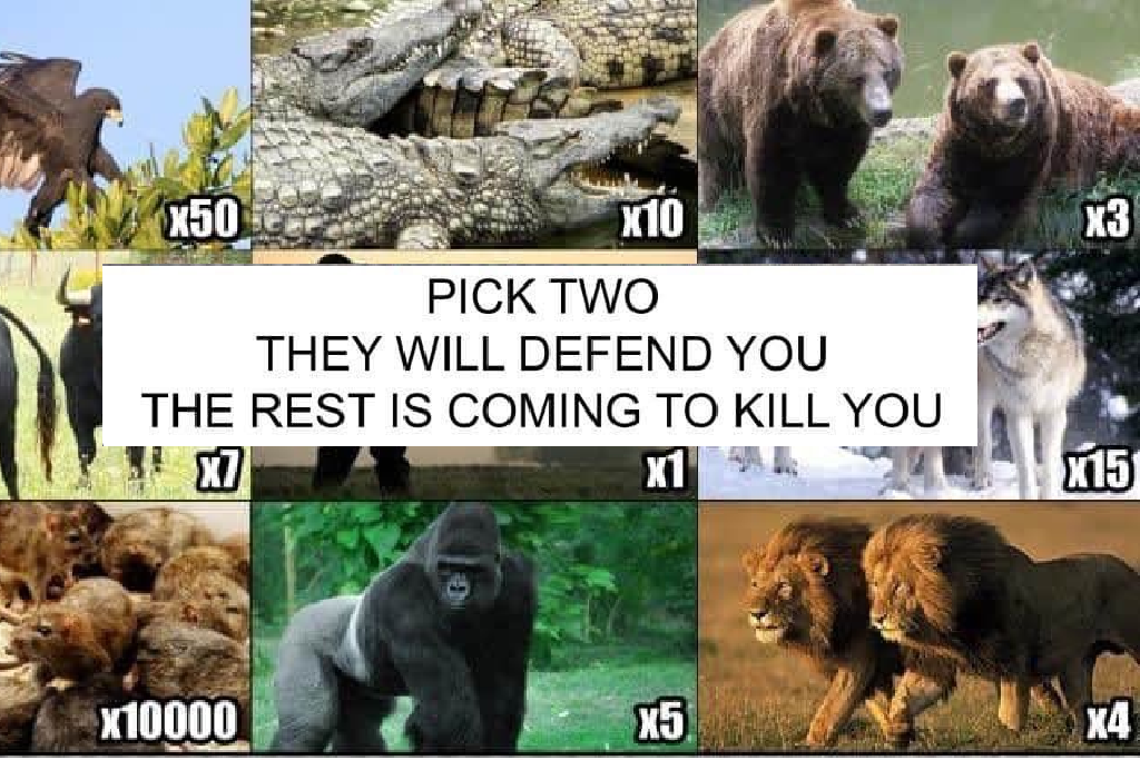 The 'Pick Two Animals To Defend You' Meme Is Causing Fights Online