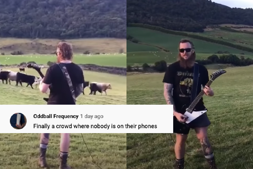 New Zealand man doom metal cows