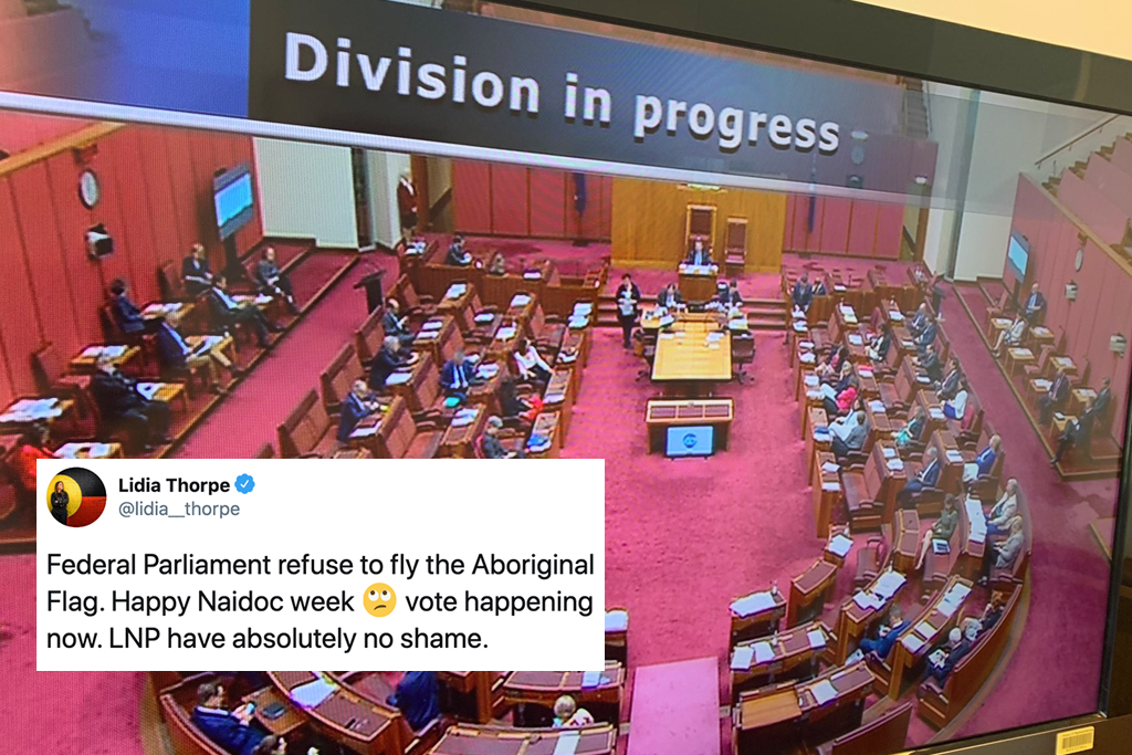 aboriginal flag naidoc week senate