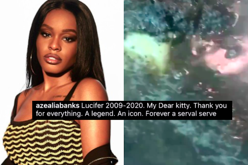 Azealia Banks appears to cook her dead cat in Instagram video