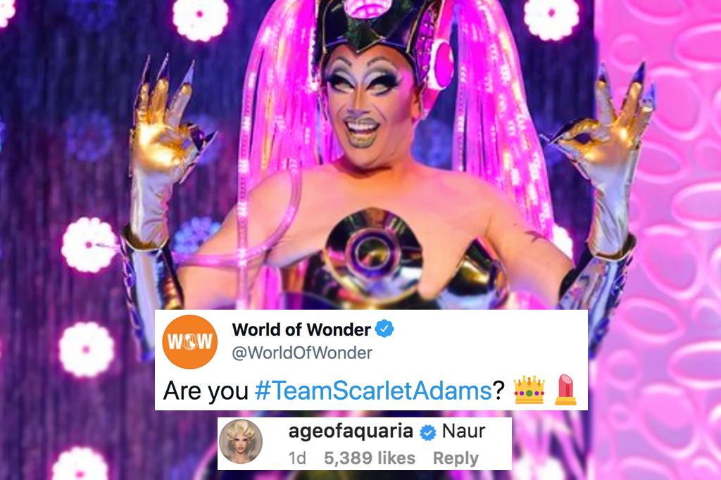 Kita Mean Drag Race Down Under Scarlet Adams Aquaria