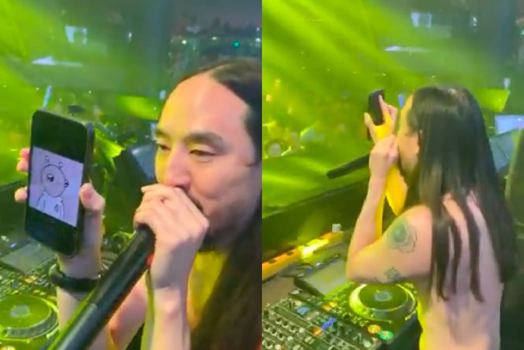 Steve Aoki shows off NFT in the middle of a gig