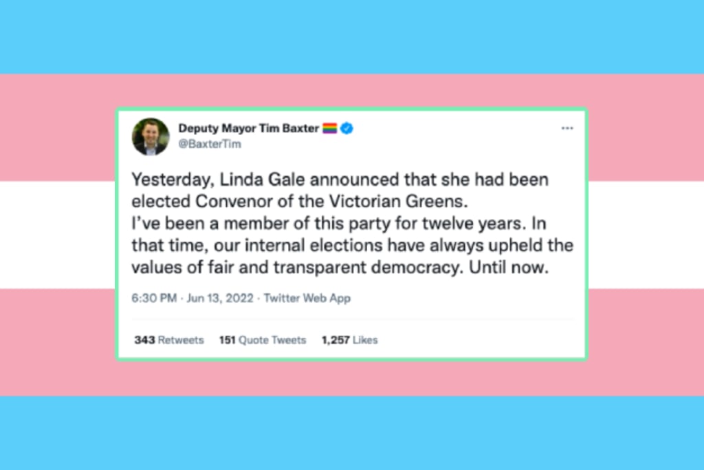 Greens Convenor Linda Gale Called Out By Own Party For Transphobia
