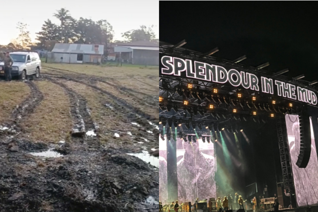 splendour in the grass bogged