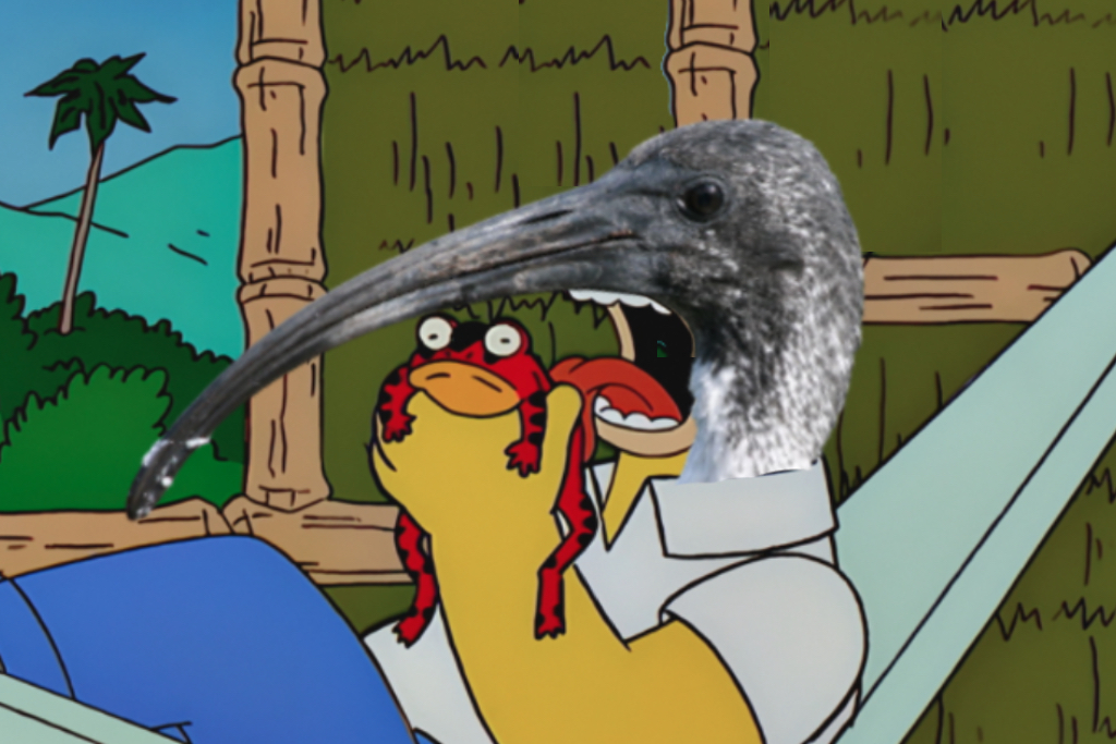 Image of Homer Simpson with the head of an ibis about to eat a toad