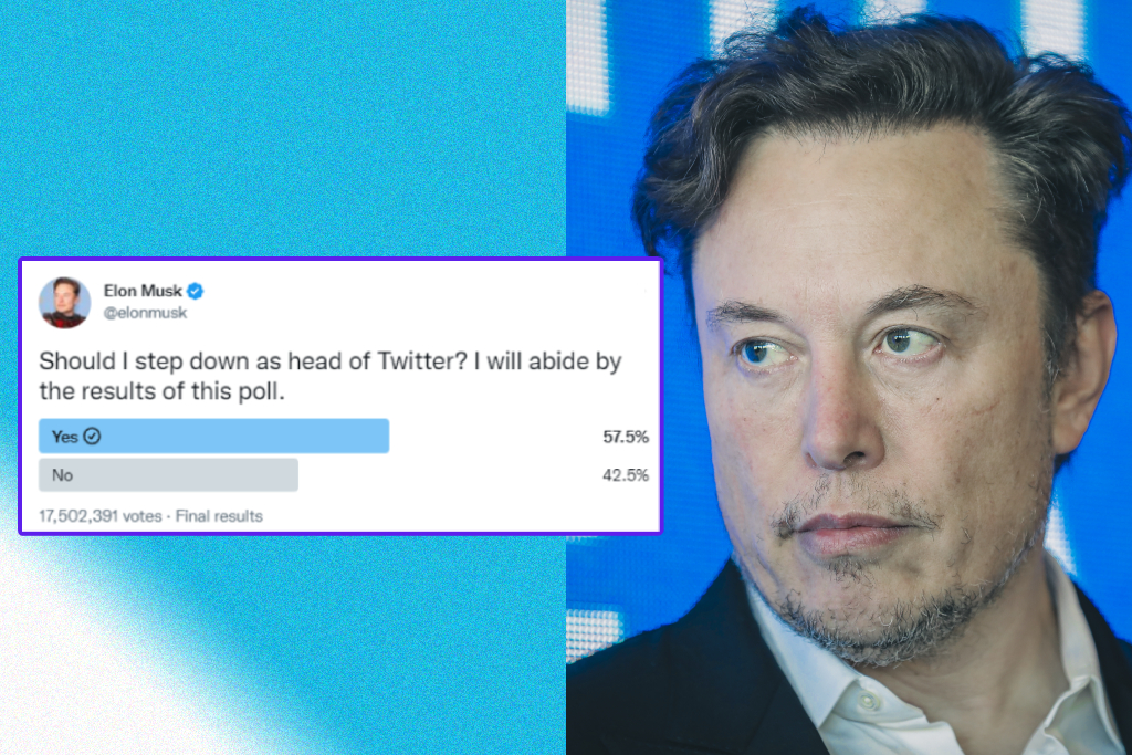 Elon Musk staring at a Twitter poll, with the results displaying he should step down as CEO.