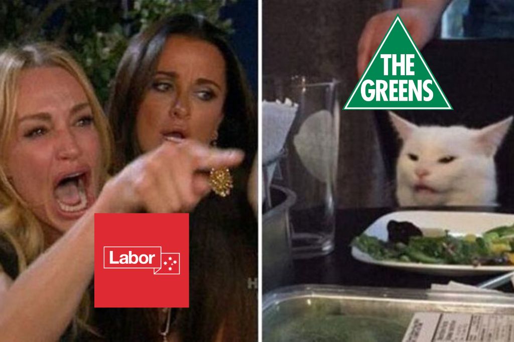 housing bill Australian labor party and Greens party drama explained taylor armstrong cat meme