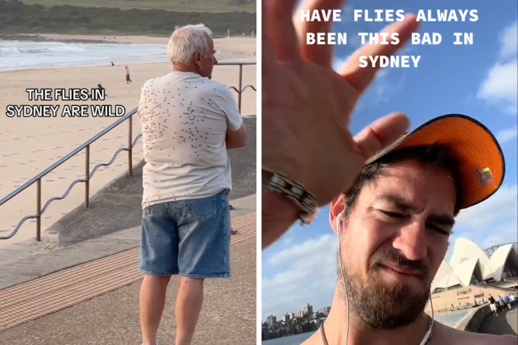 Sydney-flies-on-tiktok-ruining-lives